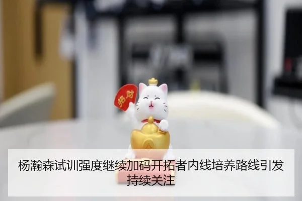 杨瀚森试训强度继续加码开拓者内线培养路线引发持续关注